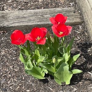 Meet your Posher, Zoey